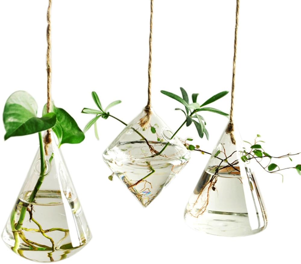 Hanging Glass Plant Vases