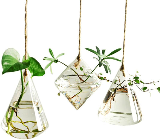 Hanging Glass Plant Vases