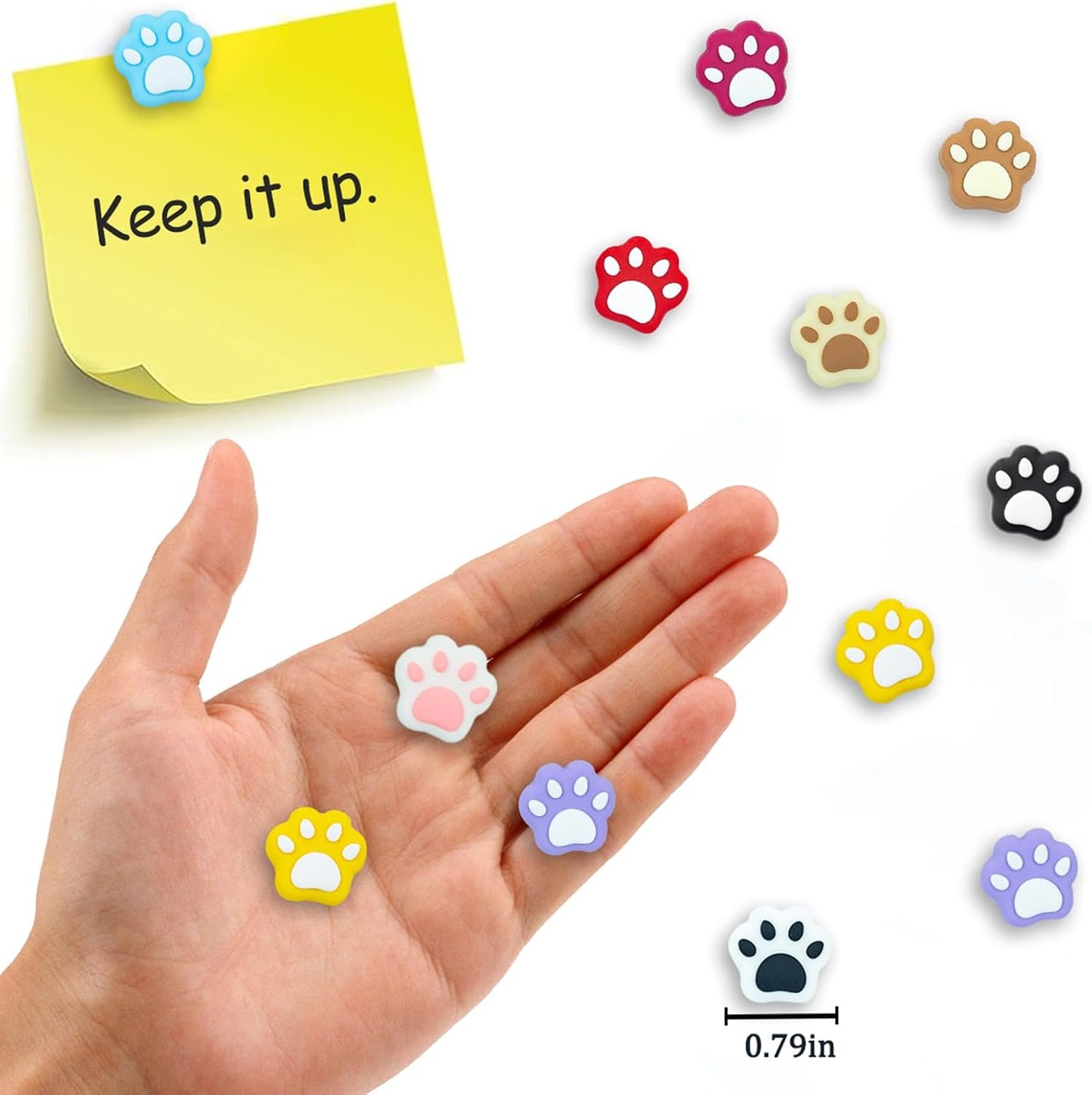 20 Mini Paw Magnets