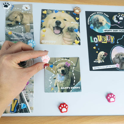 20 Mini Paw Magnets