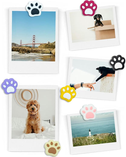 20 Mini Paw Magnets